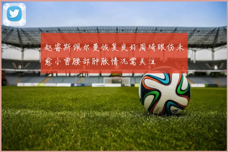 赵睿斯佩尔曼恢复良好周琦眼伤未愈小曾腰部肿胀情况需关注
