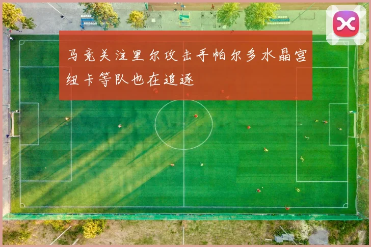 马竞关注里尔攻击手帕尔多水晶宫纽卡等队也在追逐