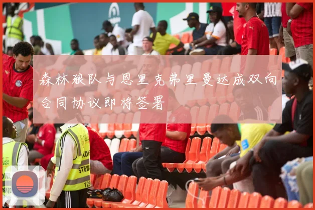 森林狼队与恩里克弗里曼达成双向合同协议即将签署