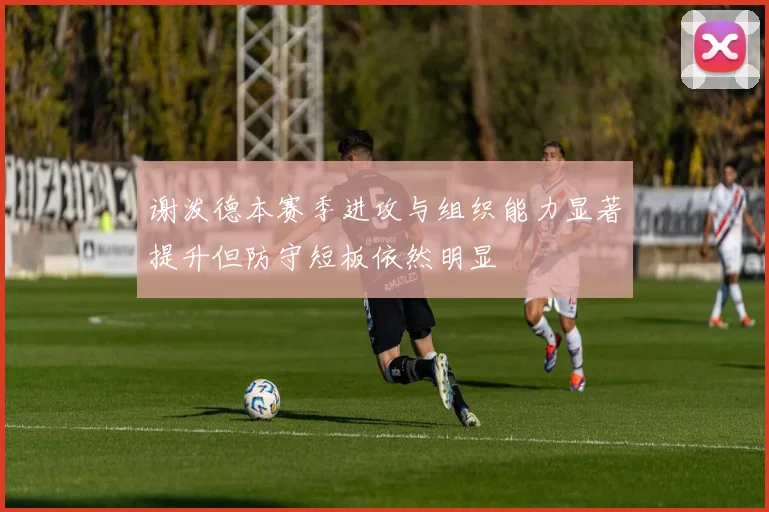 谢泼德本赛季进攻与组织能力显著提升但防守短板依然明显